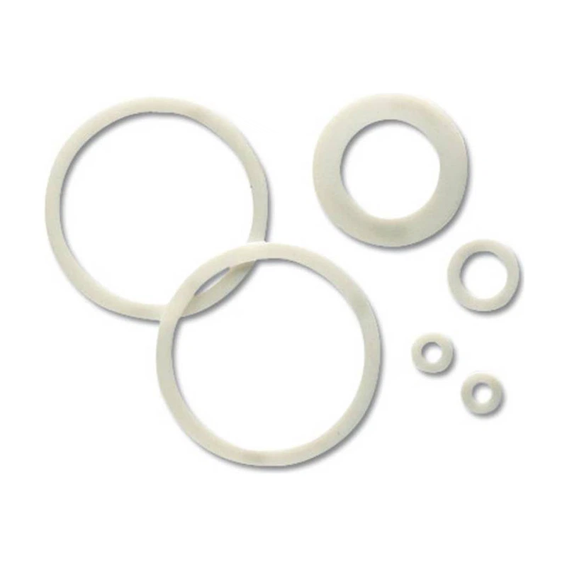 PTFE Seals